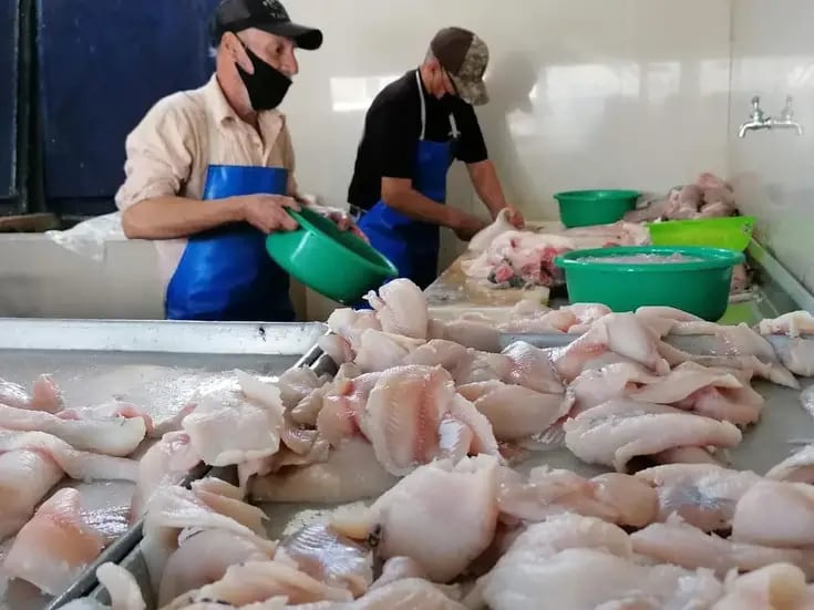 Muestran pescaderías de Obregón 60% más ventas por Semana Santa