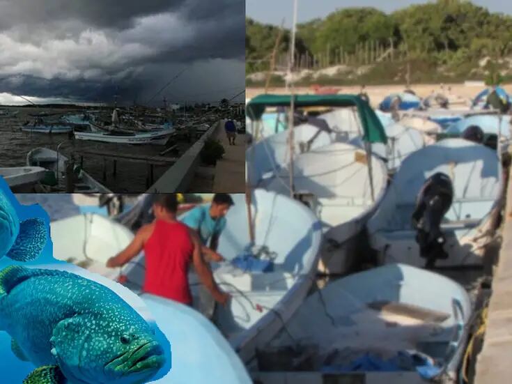 Frentes fríos paralizan pesca en Mérida, Yucatán