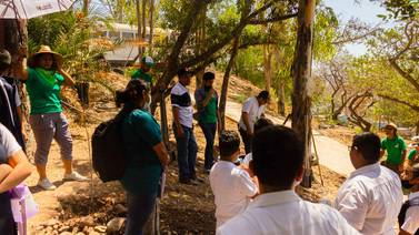 Inicia el programa Escuelas Verdes en Tijuana