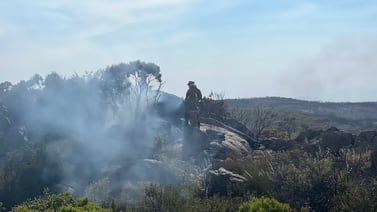 Incendio afecta 8 mil hectáreas en Tecate