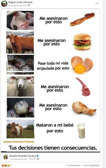 "Tus decisiones tienen consecuencias", se lee en uno de los post de Miguel "N" sobre el consumo de carne.