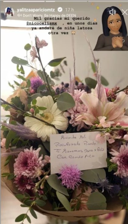 Aparicio compartió en Instagram imágenes de arreglos florales con mensajes de pronta recuperación, pero luego las eliminó.