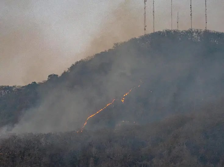 Edomex edificará 12 torres de vigilancia para detectar incendios forestales