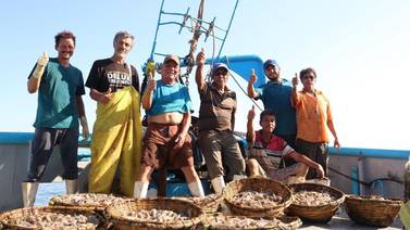 Sonora y Sinaloa celebran resultados de pesca de camarón, mientras Yucatán sufre escasez de pulpo