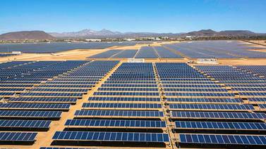 IP condena clausura de parque solar en Tecate