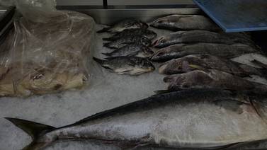 Esperan pescaderías tener buenas ventas por cuaresma