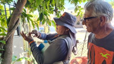 Está bajo control el dengue en Navojoa: Salud Sonora