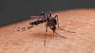 Por confirmar, tres casos mortales de dengue en Sonora