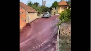VIDEO: Destilería de Portugal derrama 2.2 millones de litros de vino e inunda calles de un pueblo