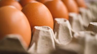 Estiman altos precios en huevo y tortilla hasta finales de junio