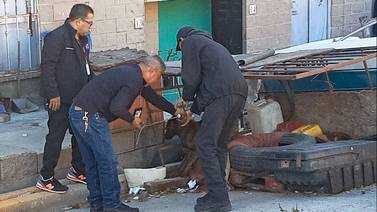 Bomberos y policías rescatan animales maltratados en Tijuana