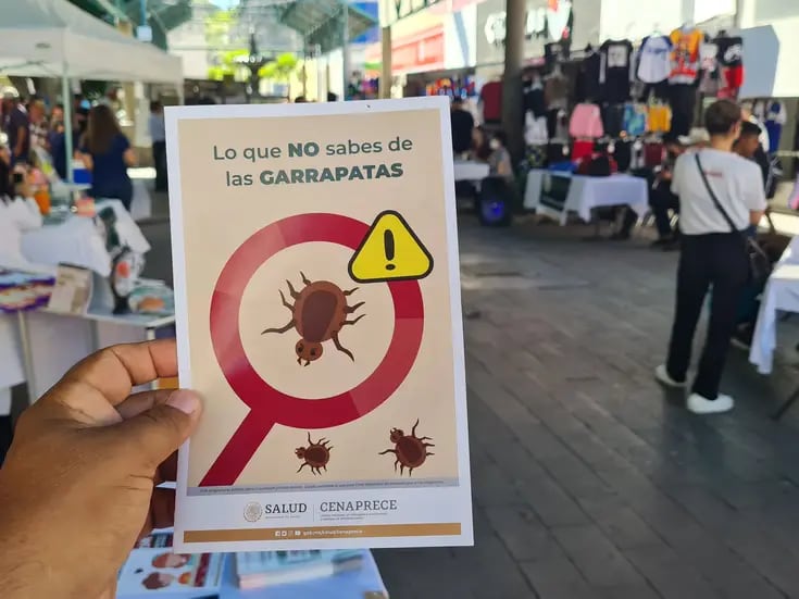 Hermosillo concentra 50% de casos de rickettsia en Sonora