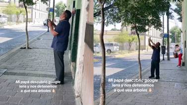 TikTok: señor enternece a todos al aprender cómo usar Google Lens para identificar árboles