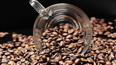 ¿Cuántas tazas de café puedes tomar para mejorar tu productividad?