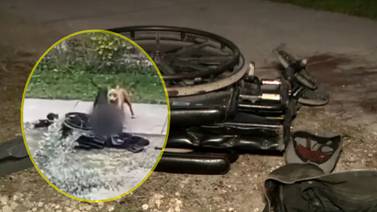 VIDEO: Hombre en silla de ruedas de Florida fue “despedazado” por un par de perros