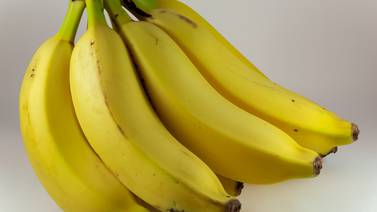 Así es como era el plátano antes de ser domesticado por el ser humano