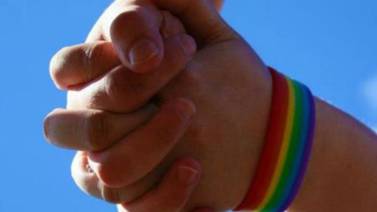 Rechaza comunidad LGBT postura de diputados federales