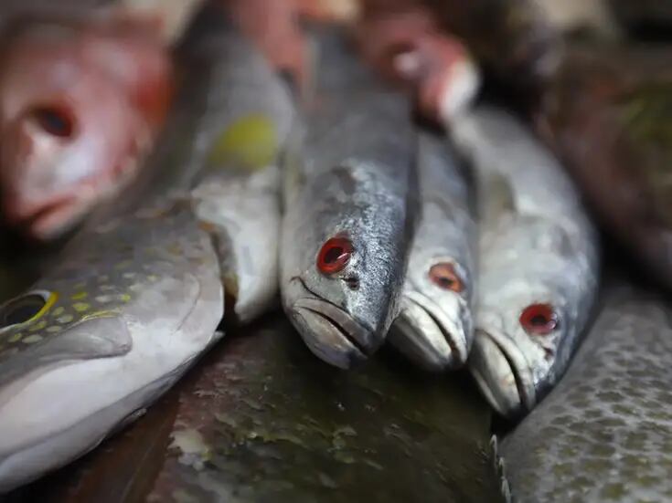 Han subido 20% ventas de pescaderías