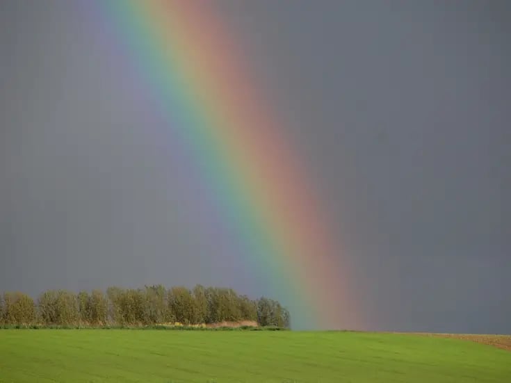 ¿Por qué se forman los arcoíris?
