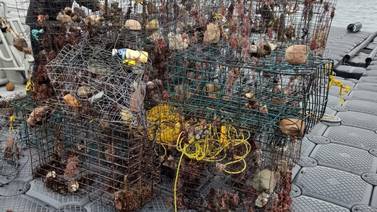 Exige Canainpesca mayor combate a la pesca ilegal
