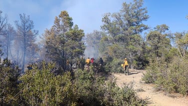 Avanza control de incendios forestales: Armando Ayala 