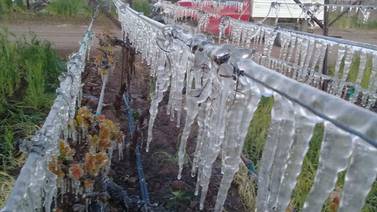 Clima en México: Prevén frío y heladas en Sierras del Norte por Frente Frío 42