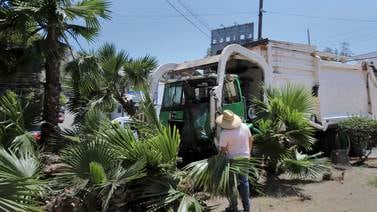 Buscarán realizar inventario forestal de Tijuana