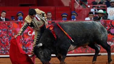 Juez suspende corridas de toros en dos municipios de Puebla