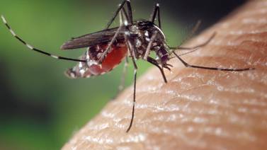 Continúa Baja California sin casos de paludismo: Secretaría de Salud