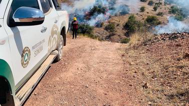 Registra Sonora menos incendios forestales en 2024