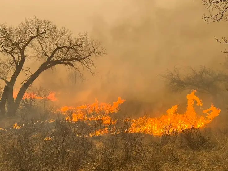 Factores climáticos amenazan la intensificación del mayor incendio en la historia de Texas