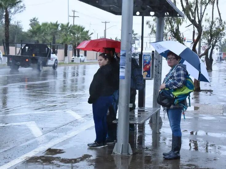 Clima Ensenada: Protección Civil prevé frío, viento, lluvias y nevadas
