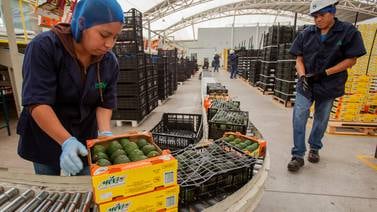 México reporta 51 mil 874 mdd en exportaciones agroalimentarias en 2023