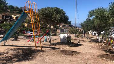 Recuperan áreas verdes de la Ampliación Constitución en Rosarito