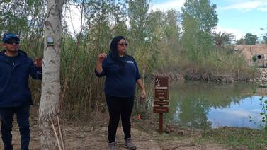 Avanza la restauración ecológica en el delta del Río Colorado