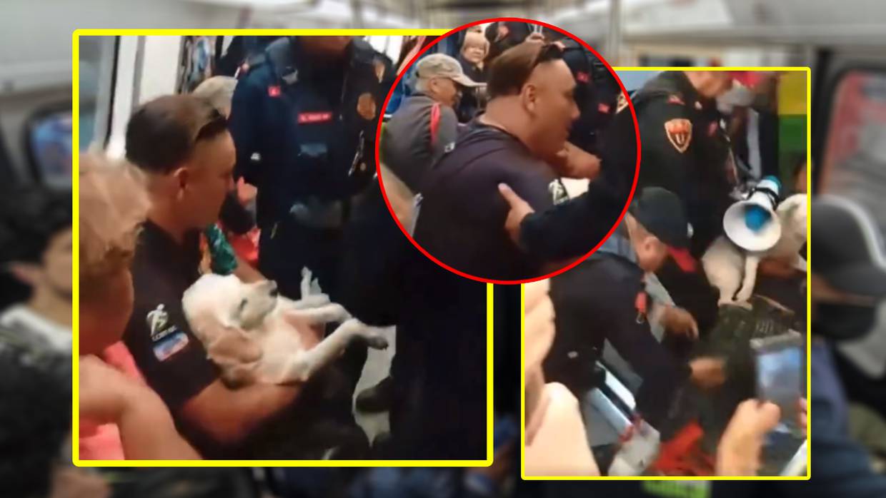 Desalojan a hombre con perro herido del Metro de CDMX por incumplir medidas de seguridad para mascotas; video se vuelve viral en redes sociales. Foto: Captura de Pantalla
