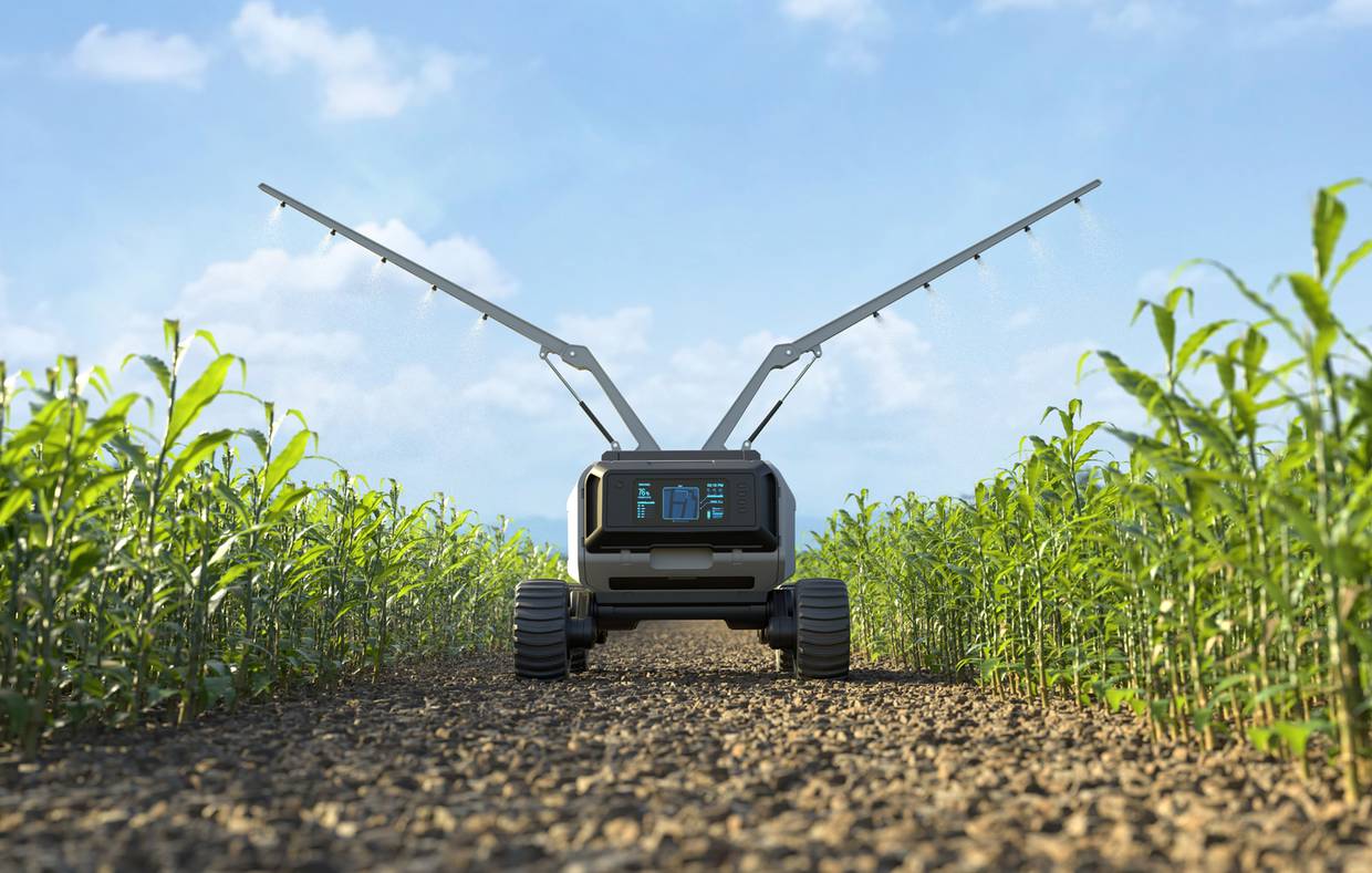 La inteligencia artificial se utiliza en la agricultura para optimizar las etapas de cultivo y posteriormente en la agroindustria para mejorar y hacer más eficientes los métodos de producción.