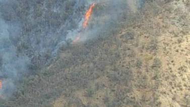 Sofocan 4 incendios forestales en Sonora