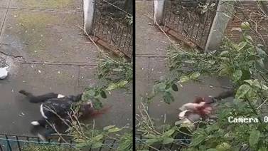 VIDEO: Hombre ataca, arrastra y se sube encima de una mujer en un violento asalto en la CDMX