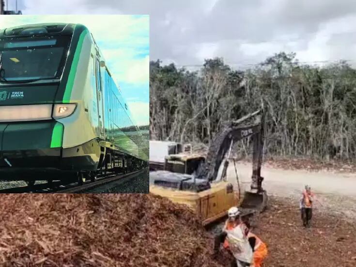 Retienen trabajadores del Tren Maya a activistas con evidencia de daño ambiental en QR
