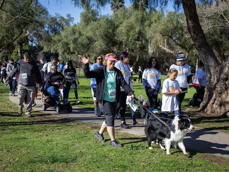 Invitan a caminata a favor de los animales en San Diego