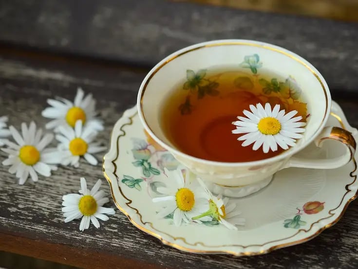 ¿Cuáles son los tés más saludables?
