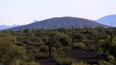 Reserva de la Biosfera El Pinacate y Gran Desierto de Altar cumple 23 años de naturaleza viva