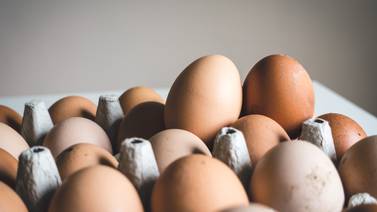 13 datos curiosos sobre los huevos que te sorprenderán