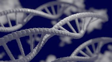 Estudio revela que consumo de Cannabis causa  alteraciones en el ADN