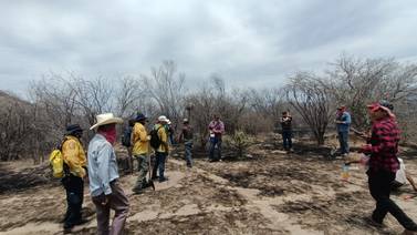 Apagan incendio forestal en municipio de Navojoa; consumió 462 hectáreas