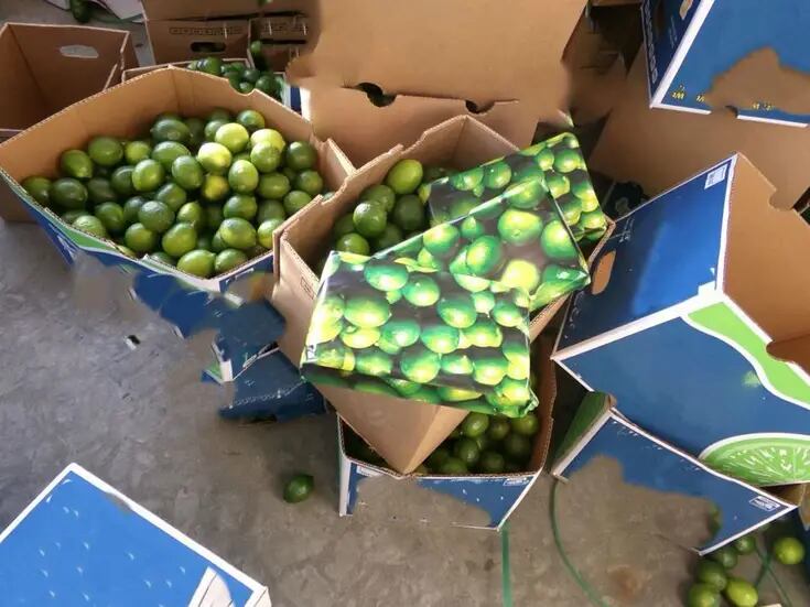 Decomisan en Otay Mesa cocaína con valor de 3 mdd en cargamento de limones