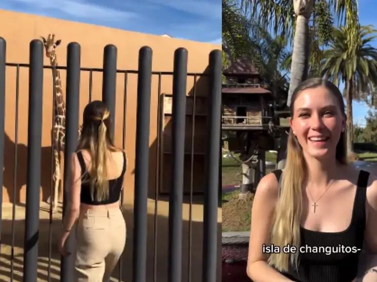 [VIDEO] Nirvana Hank, hija del exalcalde de Tijuana Jorge Hank, causa controversia por tener jirafa en su patio