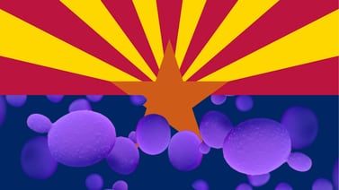 Arizona: Cándida Auris se extiende; ya suman 37 casos