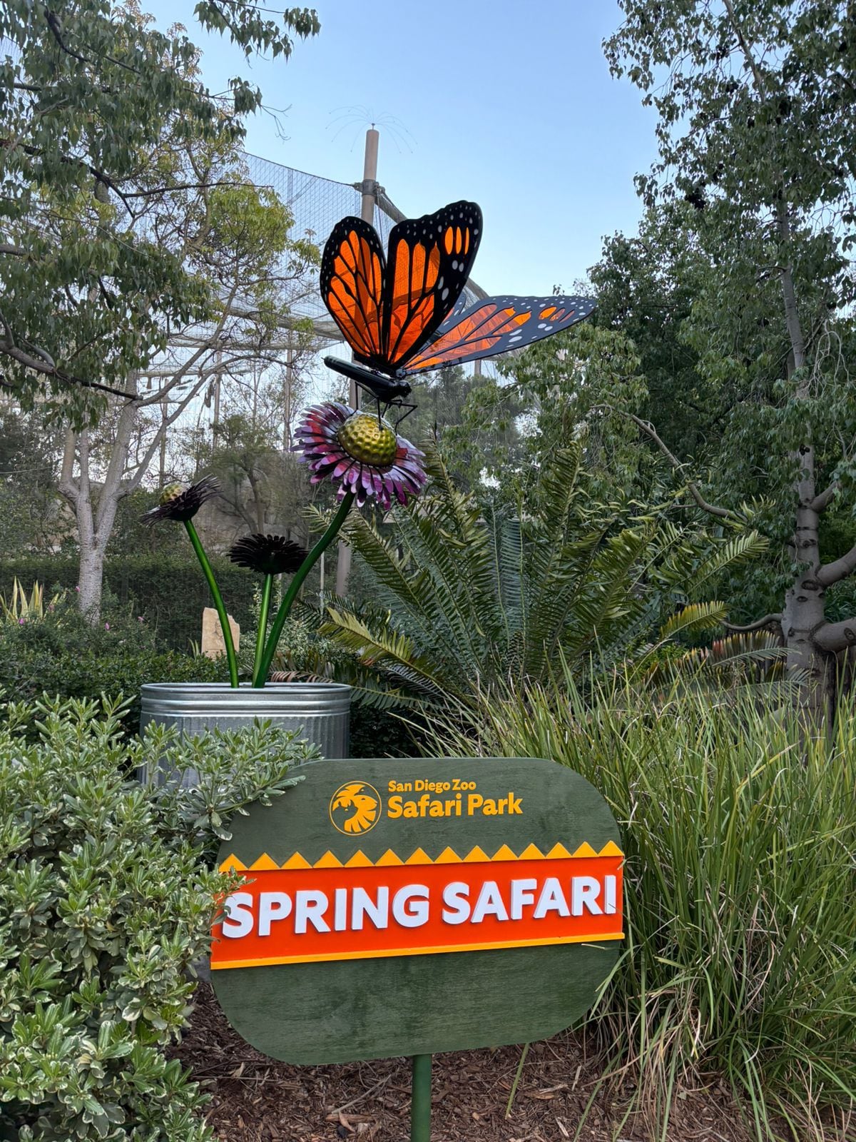 Un Safari en San Diego